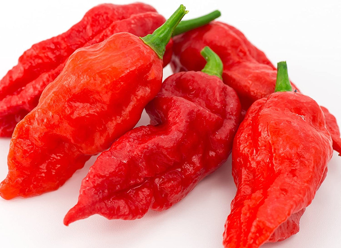Hot Sauce - X Hot